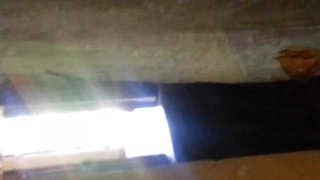 انجمن بدون ثبت نام تحریف آن فیلمسکس هات نسخه کامل